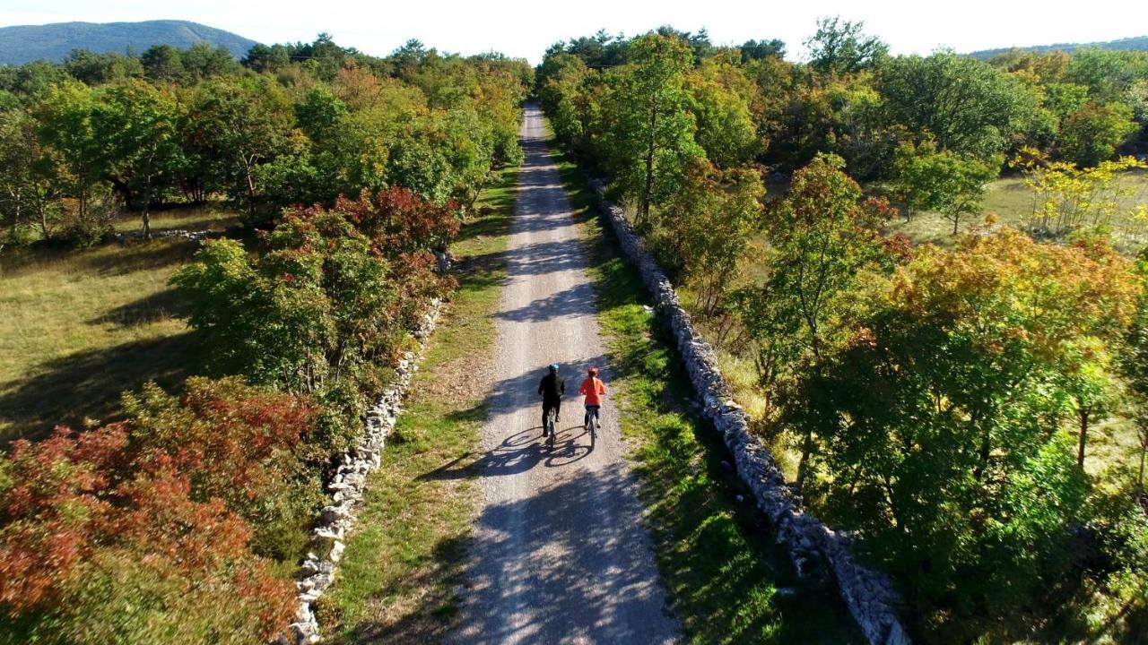 Vila Brinovka Kostanjevica na Krasu Esterno foto